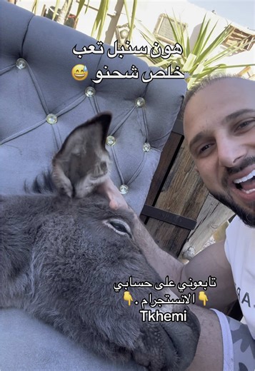 Captivating Horses Playing: Unforgettable Moments