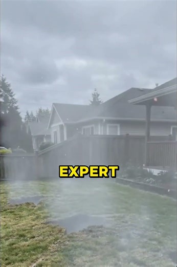 ✨ Expert Stump Grinding by A-1 Expert Tree Service