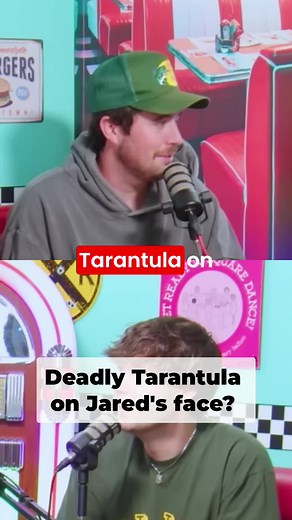 Putting a tarantula on someone's face? That's insane! Watch what happens when the idea is floated. You have to see this! #tarantula #pranks #animals #funny #waitforit