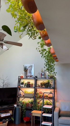 3.3K views · 17K reactions | I take those planters down, water them and put them back up the next day. I don’t know why but I kind of want to wait until the next day before it goes back up. #wallygrowplanters #plantwall #plantcurtain #trailingplants #pothosplant | Growinghouseplants | Facebook