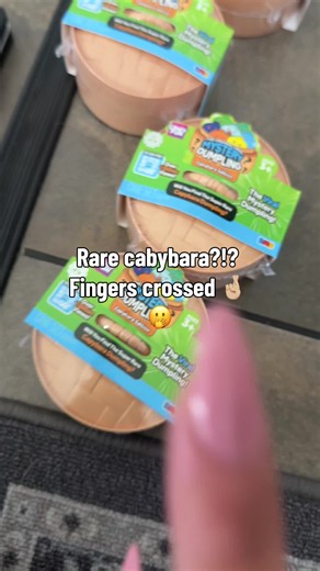 Capybara Dumpling Squishy Fidget — Rare Capybara Toy Review