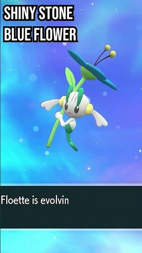 Blue Flabébé | Floette | Florges | Evolution in Pokemon Scarlet & Violet #pokemon #evolution #shorts