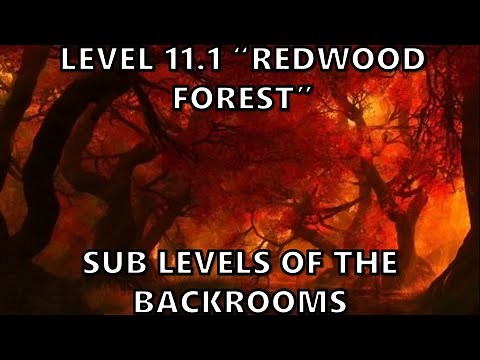 Level 11.1 "Redwood Forest" | Sub Levels of The Backrooms