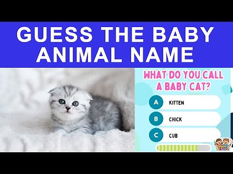 25 Baby Animal Names Quiz for Kids 🐣 | Fun & Educational Game! | HELLO TESHA