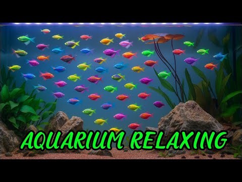 5 Hours Relaxing Aquarium with Colorful Angelfish | 66 Original Suno Music for Sleep & Study