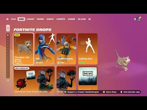 We Finally Got Our First Cat Sidekick In Fortnite!