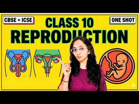 Reproduction Chapter Class 10 | One Shot Biology | Male & Female Reproductive System Explained