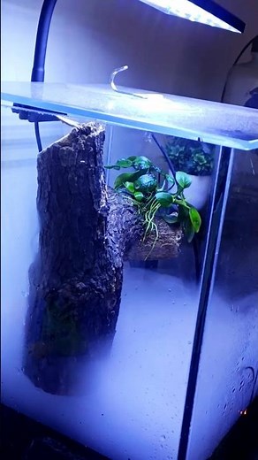 Floating log | Clouds | More work to be done |