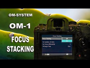 Set Up and Use Focus Stacking OM System OM 1