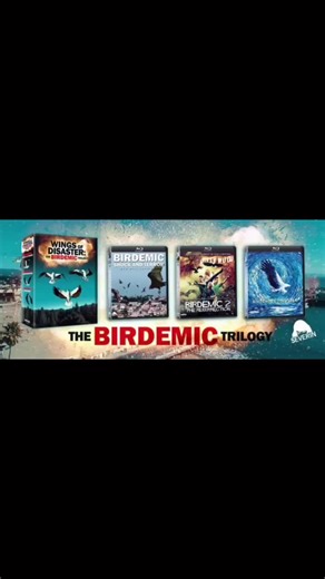 First trilogy for me!! 🙌🙌🙌 #alanbagh #instagrammer #instagrammers #instagram #instalike #instadaily #hollywood #la #losangeles #picoftheday #instapic #pictureoftheday #actor #actors #actorslife #filmmaking #instagood #birdemic3 #filmlife #hollywoodactor #instaphoto #photoshoot #photooftheday #filmcommunity #birdemic #actorheadshots #instalove #casting #castingdirectorsforactors #birdemic2
