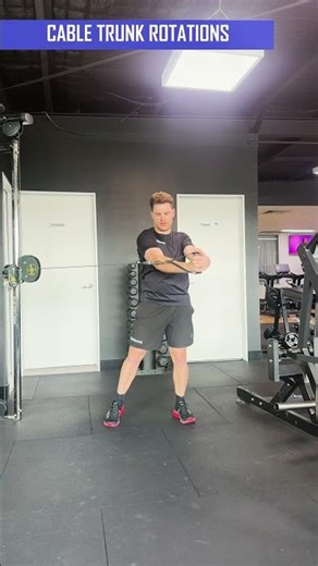 Cable Trunk Rotations