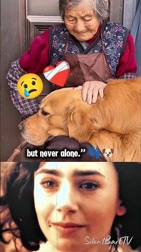 Growing Old Together… That’s Real Love ❤️❤️‍🩹 ( Dog Sad Video ) #shorts #dogshorts