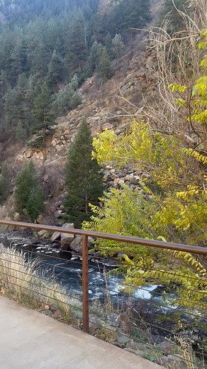 Robin Phillips on Reels