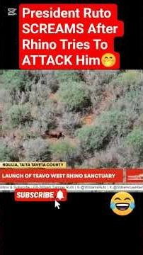President RUTO SCREAMS After Freed Rhino Tries To ATTACK Him in Taita Conservancy
