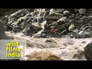 Worst of the Uttarakhand floods: a compilation of frightening imagery