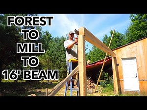 Building a Sawmill Shack: Skidding, Milling and a 16' Beam