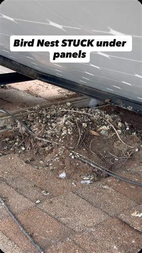 Got Birds Nesting under your Solar Panels? Here’s what it really looks like from up to What you see on ground is only a fraction of the problem You can’t hire a pressure washing company to handle this You need certified solar experts Ensuring solar system is operating properly upon completion #clovis #madera #fresno #realestate #centralvalley #homeimprovement #chowchilla | Golden Rays Solar Cleaning Company