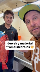 Otoliths exist in bony fish and other animals and they help facilitate balance and motion detection. Folks on BC’s coast often dig them out and make jewelry out of the ones that come from rockfish. #explorebc #nature #otolith #biology #marinebiology | BC Bob