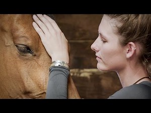 TRAILER The 24 Behaviors of the Ridden Horse in Pain: Shifting the Paradigm of How We See Lameness