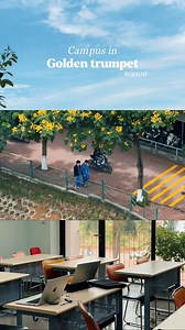 Sinh viên học ở toà Alpha gọi đây là view triệu đô 🌼 #fptu | Trường Đại học FPT