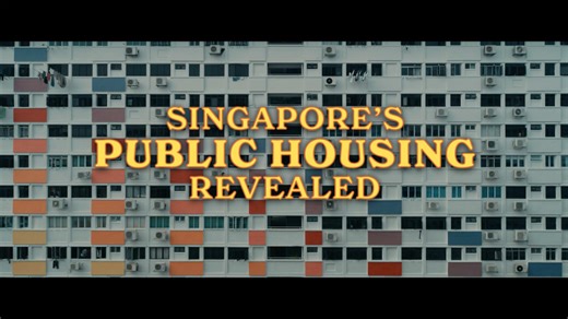 Singapore's Public Housing Revealed
