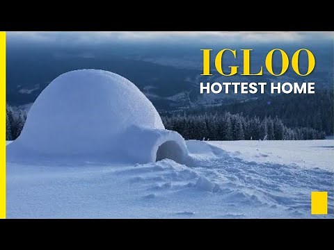 How An Igloo Keeps You Warm ?