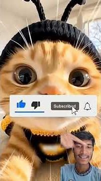 subscribe and magic #magic #memes #edit #subscribe #greenscreen