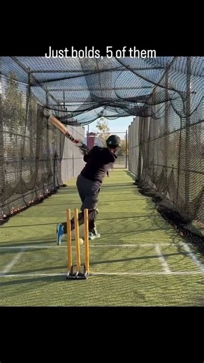 Hitting the stumps #bold #hittingstumps #cricketshorts #cricketcanada #cricketusa #cricketaustralia