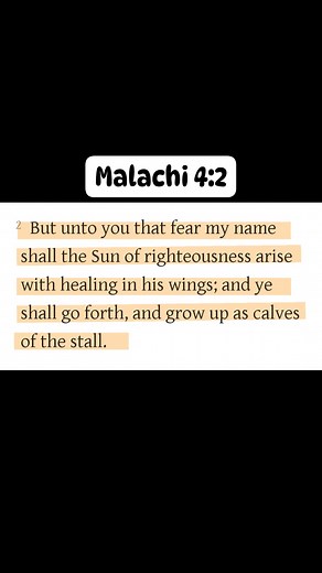 Malachi 4:2 | Evangelist Patience T Mlambo