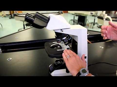 Tour of the Nikon microscope