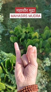 879K views · 9.9K reactions | Mahasirs mudra has relieving effects on...