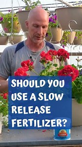 What about a slow release fertilizer? What if my soil has fertilizer in it? Do you still feed? We answer these questions. | Sharkey's Greenhouses