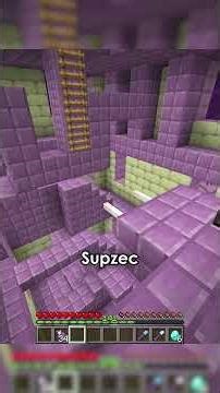 I SURVIVED in the Minecraft Void