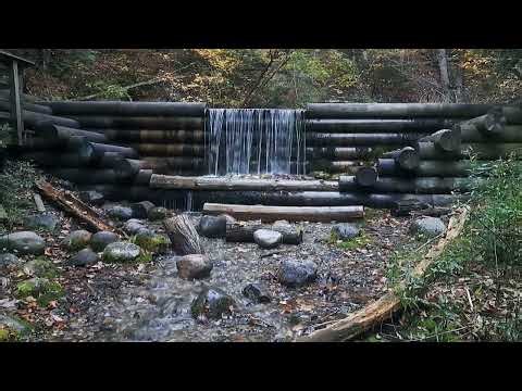 Rushing Hidden Forest Waterfall in Autumn
