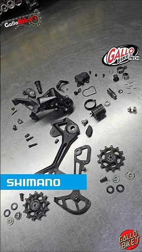 Reparación cambio trasero SHIMANO DEORE XT RD-M8100 Mantenimiento Desviador servicio pata guía bici