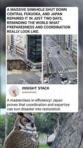 The Road That Vanished in 48 Hours! 🇯🇵
