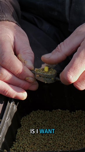 Optimal Ways to Load Your Hybrid Feeder for Cold Weather Fishing