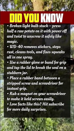 Broken light bulb stuck