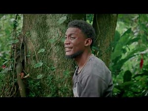 Amil - Happy | Official Music Video 2026 🇻🇨