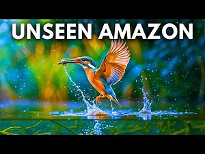 The UNSEEN World of the Amazon Rainforest | 4k Documentary