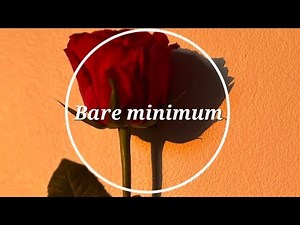 Bare minimum | tiktok viral song lyrics 🎵