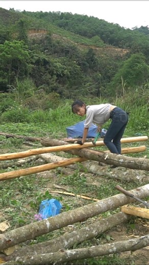 Let's build a simple hut together in the forest. #bamboohouse #survivaltools