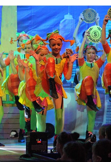 Dance Society Alzey e.V. on TikTok