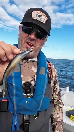 Tip of the week. Softbaiting fine tuning. #lurefishing#snapper#experttips | Ocean Angler