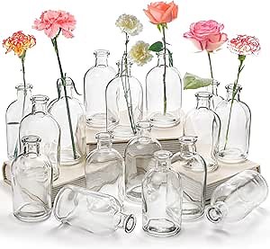 YOUEON 16 Pack Clear Glass Bud Vases, Small Bud Vases in Bulk, Glass Flower Vases for Centerpieces, Vintage Decorative Bottle Vases for Flowers, Home Decor, Wedding Reception, Office