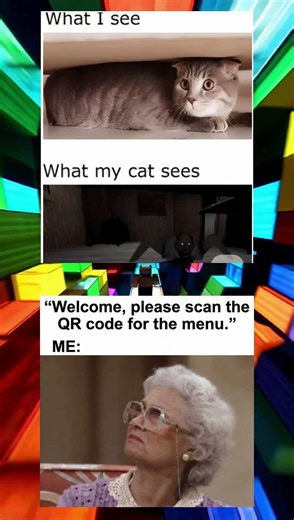 How I See My Cat vs How My Cat Sees Me 😂👀 #memes #invincible #shorts