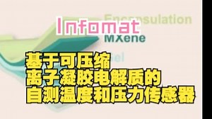 Infomat｜基于可压缩离子凝胶电解质的自测温度和压力传感器