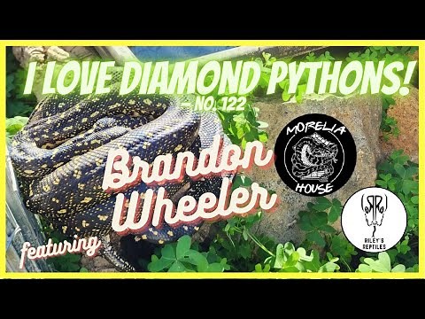 I Love Diamond Pythons! - no. 122