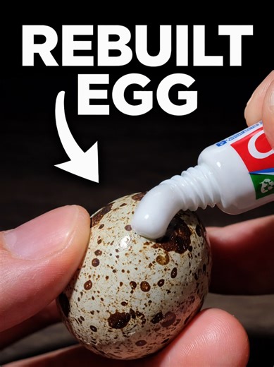 Rebuilding an Egg from Scratch: A Culinary Experiment