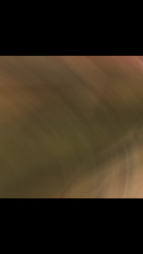 Minion Goon Police Meme Compilation